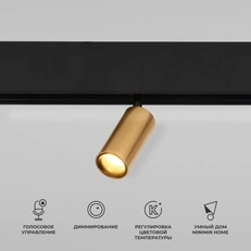 Изображение Умный трековый поворотный светильник Slim Magnetic 5W 2700-6500K Dim Cantors латунь 85071/01